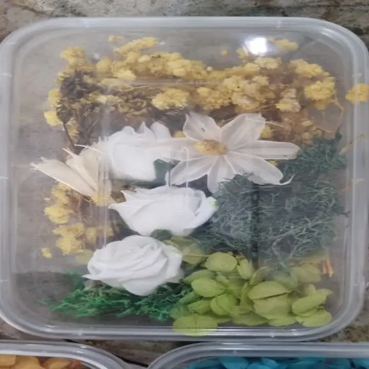 Dry flowers box for Resin