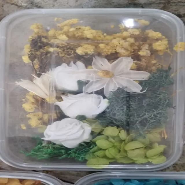 Dry flowers box for Resin